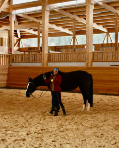 Charlotte Wagner, Reithalle