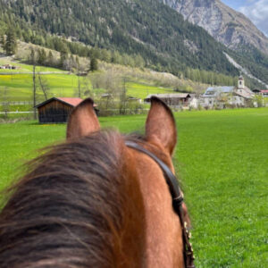 Urlaub, Charlotte Wagner, klassische Reitkunst